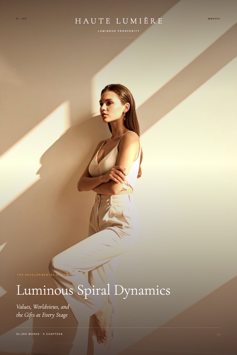 Luminous Spiral Dynamics™: Values, Worldviews, and the Gifts at Every Stage — the jacket