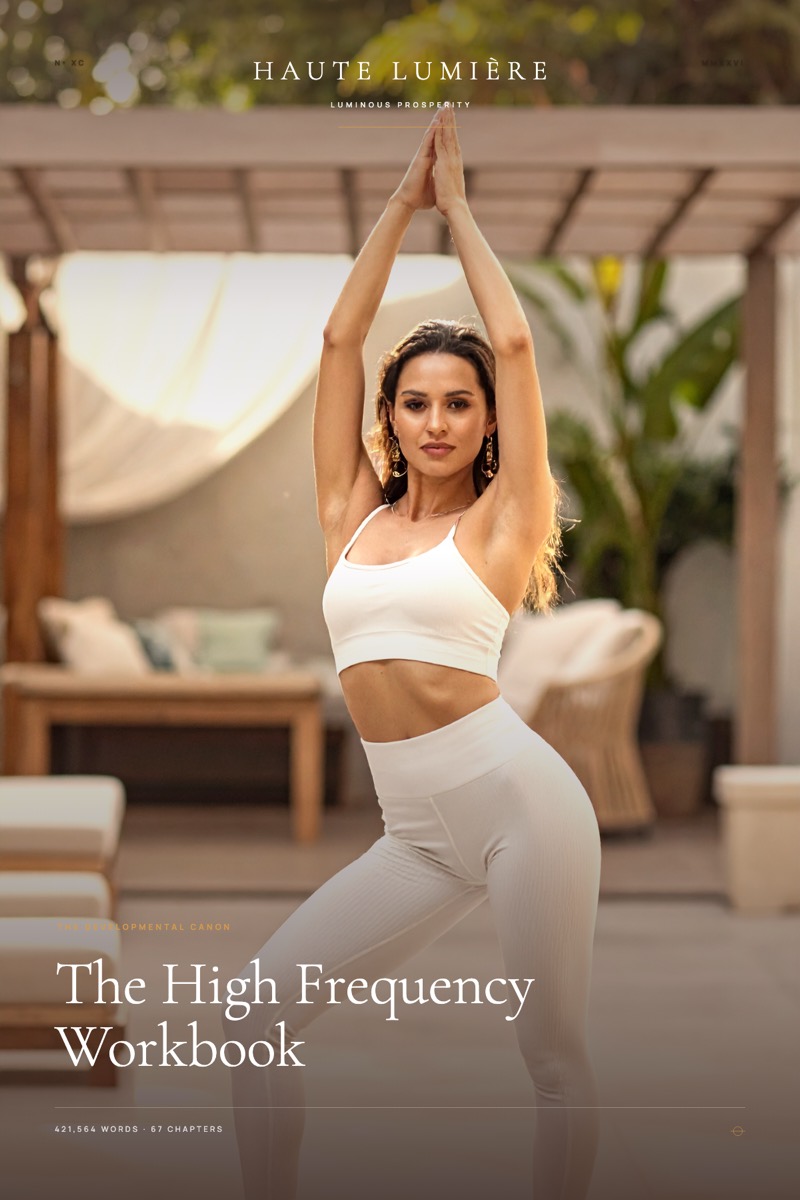The High Frequency Workbook — the jacket