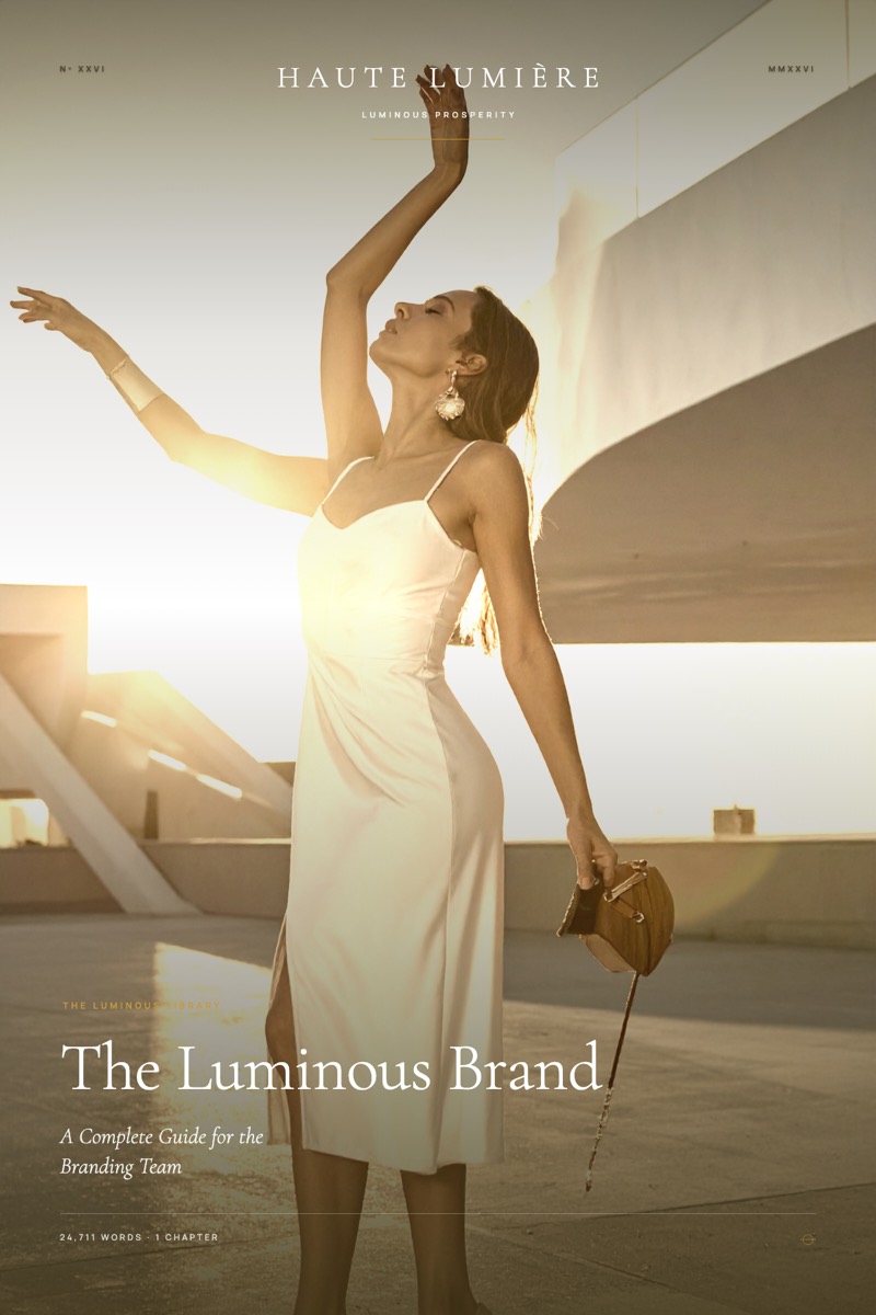 The Luminous Brand: A Complete Guide for the Branding Team — the jacket